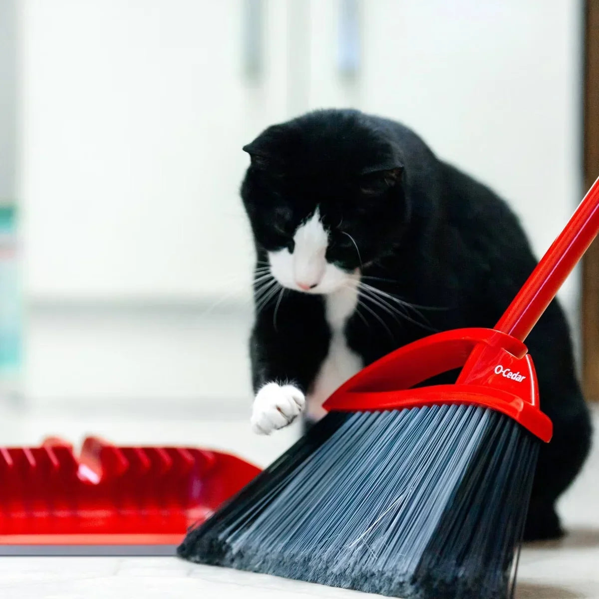 O-Cedar PowerCorner Pet Pro Broom with Step-On Dustpan