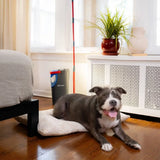 O-Cedar H2prO Flat Mop System: Steel Handle, Microfiber Head