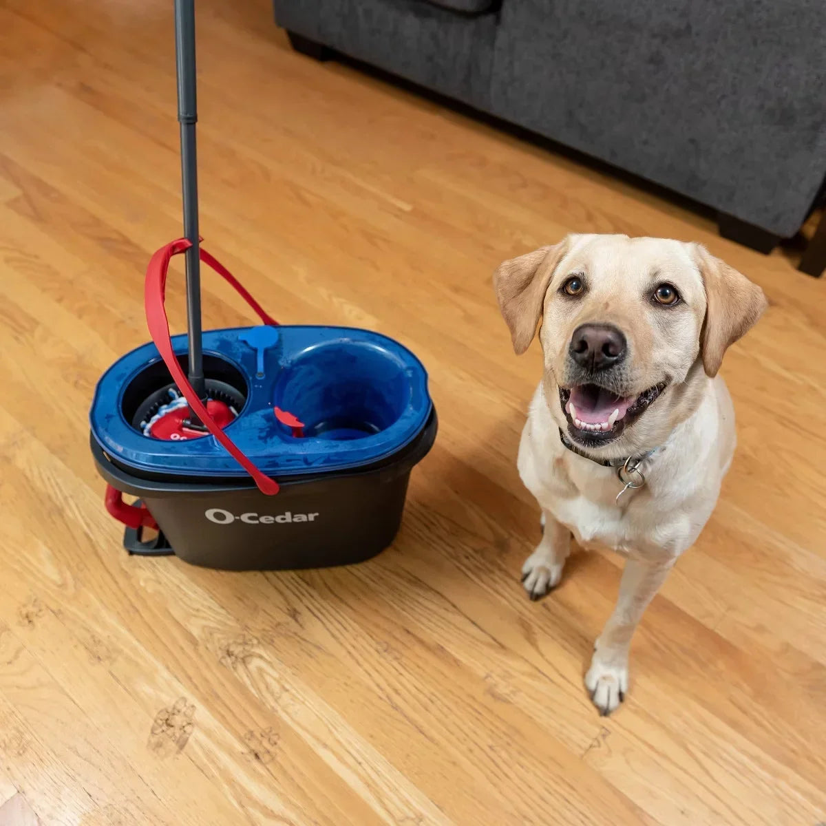 O-Cedar RinseClean Spin Mop & Bucket System: Cleaning Tools and Accessories